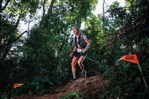 BIB: 
                            <button type="button" onclick="openModal(22629164)" class="btn btn-primary btn-sm float-right btn-popup" data-toggle="modal" data-target=".modal-high-quality">
                        <i class="fas fa-shopping-cart"></i> Add to Cart
                    </button>
                                            <button type="button" onclick="isThisMe(22629164, true)" class="btn btn-success btn-sm float-right btn-popup btn-isme hidden" data-toggle="tooltip" data-placement="bottom" title="นี่คือรูปของคุณใช่ไหม คลิกที่นี่เพื่อเอาเข้าอัลบั้ม">
                        <i class="fas fa-plus"></i> Add to album
                    </button>
                    <button type="button" onclick="isThisMe(22629164, false)" class="btn btn-warning btn-sm float-right btn-popup btn-isnotme hidden">
                        <i class="fas fa-ban"></i> Remove from album
                    </button>